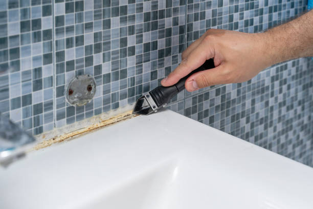 Home Mold Removal in Bethel, WA